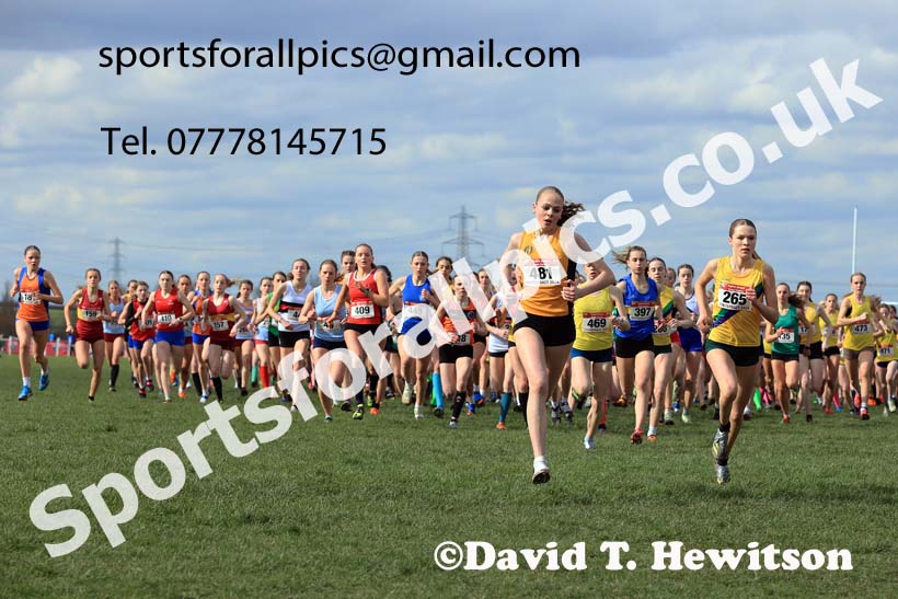 Intermediate Girls 2024 English Schools Cross Country Champs., Pontefract, March 16th.  Photo: David T. Hewitson/Sports for All Pics